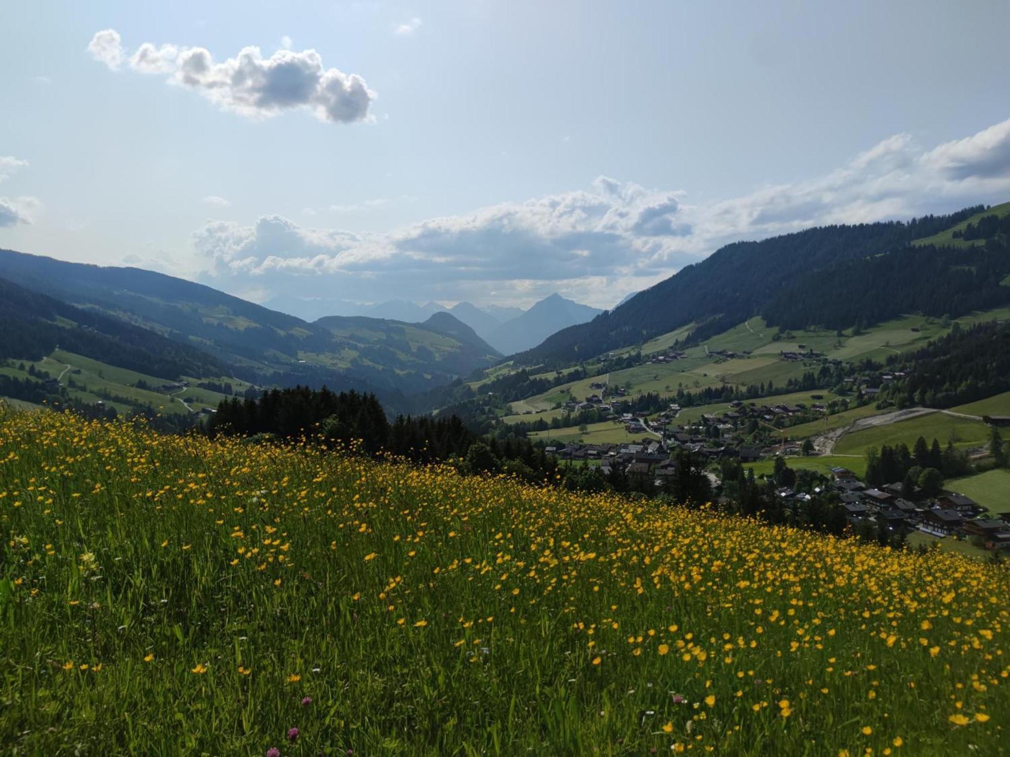 Chalet Mountain View ألباخ المظهر الخارجي الصورة